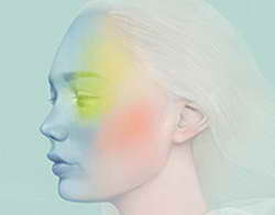 Путин: русский язык и культура обеспечивают единство страны