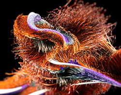 Из 17-этажки в центре Кургана съехал популярный магазин одежды