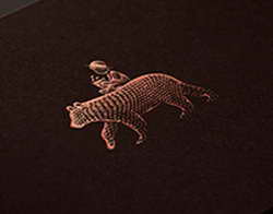 В СМИ попали некоторые подробности предложений по урегулированию, направленных Вашингтоном Киеву