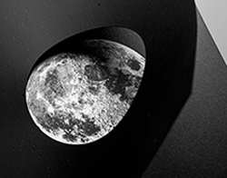 Авторы психоделического эскейп-рума Dark Trip ищут инвестора, готового вложить в разработку и маркетинг до 150 тысяч долларов