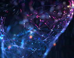 Оператор дрона ВС России сбил коптер ВСУ банкой тушенки и снял это на видео