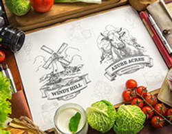 Все величия соблюдены // В Каире открылся Большой египетский музей, обошедшийся более чем в $1 млрд