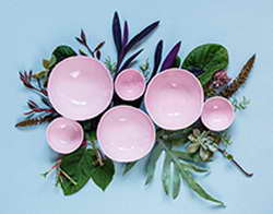 Запорожский губернатор уволил секретаря избиркома по коррупционным основаниям