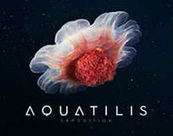 Очень нестрашное кино // В российском прокате стартует хоррор «Шелби Оукс. Город-призрак»