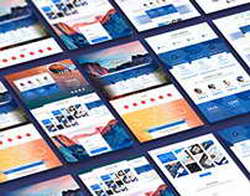 В Брянске состоялось первенство по дзюдо