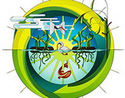 НФЛ. 10-я неделя. «Денвер» сыграл с «Лас-Вегасом» и другие матчи