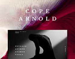 Киев рискует зайти слишком далеко и обострить отношения с союзниками — Bloomberg