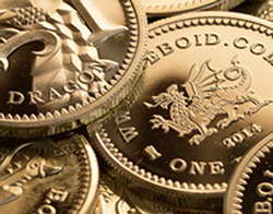 В Госдуме напомнили о выплатах январских пенсий до новогодних праздников