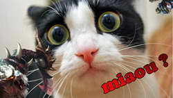 ВС РФ уничтожили пусковые установки, с которых запустили ATACMS по Воронежской области