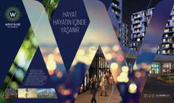 РЖД может запустить электропоезда «Финист» на 25 новых маршрутах